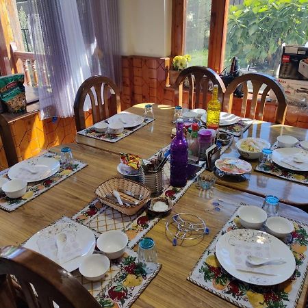 Aroma Taru Villa / Cottage ,Manali Zewnętrze zdjęcie
