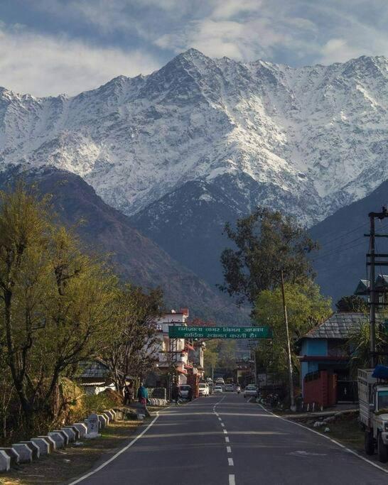 Aroma Taru Villa / Cottage ,Manali Zewnętrze zdjęcie