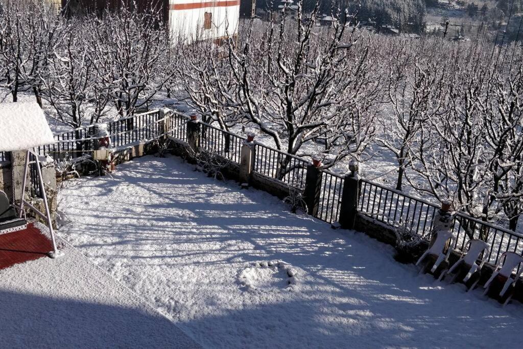 Aroma Taru Villa / Cottage ,Manali Zewnętrze zdjęcie