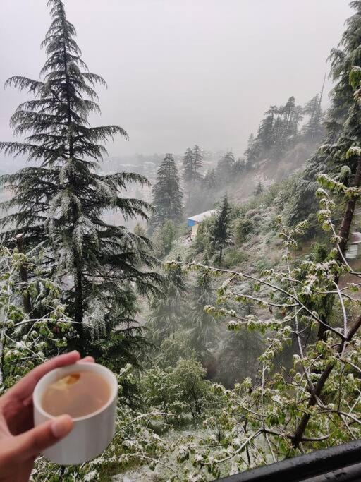 Aroma Taru Villa / Cottage ,Manali Zewnętrze zdjęcie