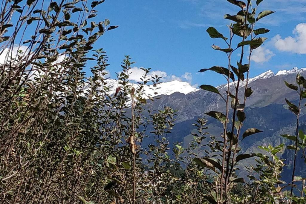 Aroma Taru Villa / Cottage ,Manali Zewnętrze zdjęcie