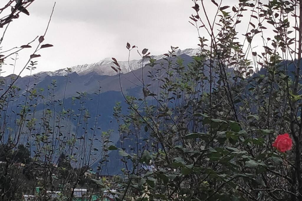 Aroma Taru Villa / Cottage ,Manali Zewnętrze zdjęcie